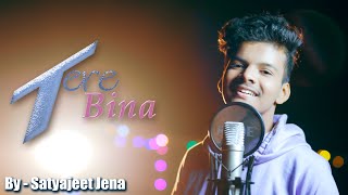 Tere Bina  Satyajeet Jena  Cover Version [upl. by Ansilma421]