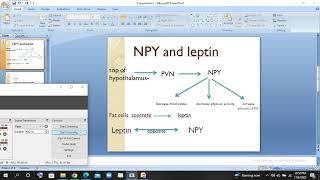 Role of NPY and Leptin in controlling eating health psychology urduhindi lec [upl. by Valdis]