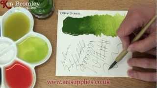 Daler Rowney FW Ink Olive Green 363 [upl. by Keldah]