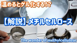 【ゲル研究者が解説】温めるとゲル化する！？ メチルセルロース The wonder of methylcellulose [upl. by Casavant]