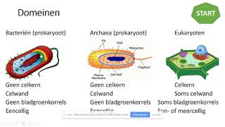 1HVG  BvJ  Thema 4  Ordening  Les 1 [upl. by Celina]