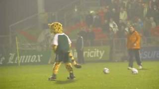 11 03 04 Cork City FC mascot debut [upl. by Neila]