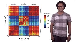 Andre Fenton NYU 1 Reconstructing memory [upl. by Papagena102]