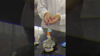 Experimentando con elementos orgánicos e inorgánicos en una clase de Química 🧪🥼química experimento [upl. by Lubet69]