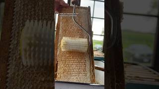 Using an Uncapping Roller beekeeper beekeeping bees beehive honey honeyharvest [upl. by Zipnick]