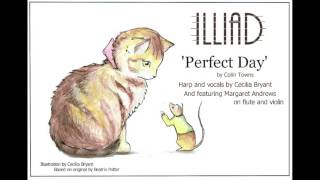 Perfect Day  Cover [upl. by Yhtomiht]