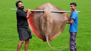 60 Kg Giant StingRay In Mud Hole  തിരണ്ടി ചുട്ട് കറിവെച്ചപ്പോൾ  M4 Tech [upl. by Betsey]