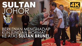 DAULAT TUANKUSULTAN JOHOR ke BRUNEI KUNJUNGAN HORMAT mengadap SULTAN BRUNEI [upl. by Carli]