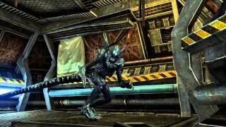 AVP Evolution Launch Trailer [upl. by Znarf]