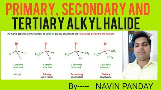 Primary Secondary and Tertiary Alkyl Halide  Classification of Alkyl Halide [upl. by Ck152]