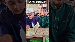 हम लोग मदारिस वाले है islamicshorts shortvideo rabbsehaidua deeni malumat madaris [upl. by Llenor]