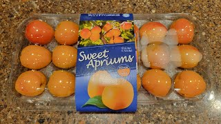 Trying Aprium Fruit For The First Time  A Cross Between Plum amp Apricot [upl. by Yreffeg484]