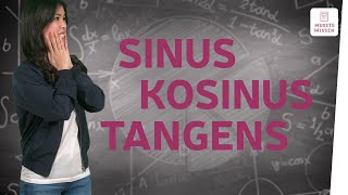 Die Winkelfunktionen Sinus Kosinus und Tangens I musstewissen Mathe [upl. by Proud]