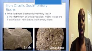 Clastic vs Non clastic sedimentary rock [upl. by Esinehc625]