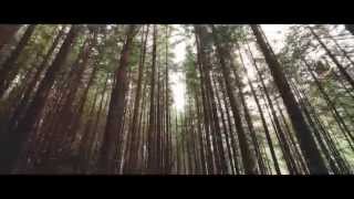 World Environment Day 2015 Official Video [upl. by Issac]