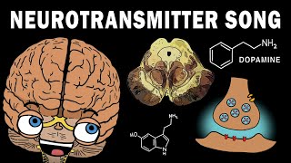 THE NEUROTRANSMITTER SONG [upl. by Niwre]