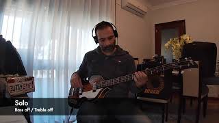 Hofner Ignition SE violin bass Bass Review   No Talking [upl. by Ishmael]