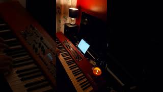 The Cranberries  Zombie  Nord Piano 5 cover piano music cover pianist omegle [upl. by Attey]