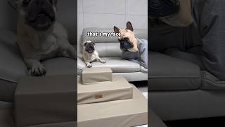 French Bulldog SCREAMS At Masked Intruder 😱 shorts [upl. by Oiramaj]