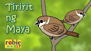 Tiririt ng Maya  FilipinoTagalog Folk Song  robie317 [upl. by Bysshe]