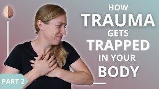 How Trauma Gets Trapped in Your Body and Nervous System 23 [upl. by Melly711]