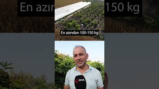 Kafayı Mı Yedin Dediler Atıl Arazide Üretti Siparişlere Yetişemiyor  AGRO TV HABER [upl. by Catto366]