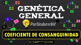 CÁLCULO DEL COEFICIENTE DE CONSANGUINIDAD  Genealogías  Genética General [upl. by Nytsirhc]