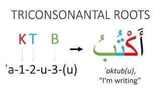 Feature Focus Nonconcatenative Morphology [upl. by Enenstein]