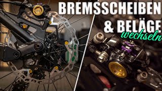 Bremsscheiben und Beläge austauschenwechseln [upl. by Ferdinand]