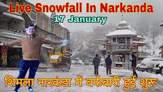 Live Snowfall In Narkanda  शिमला नारकंडा में बर्फबारी हुई शुरू [upl. by Karalynn]