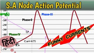 S A Node Action Potential Physiology II Pacemaker Activity II Hindi Explanation II Medical Nerd [upl. by Persson]