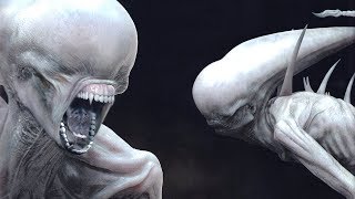 The NEOMORPH Explained [upl. by Kinata]