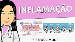 Imunologia 04  Inflamação Imunidade inata  Vídeoaula de sistema imune [upl. by Atnoved]