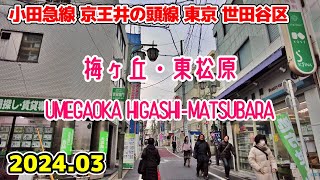 東京散歩 梅ヶ丘東松原 Tokyo Japan Walk in Umegaoka Higashimatsubara 小田急線 井の頭線 世田谷区 [upl. by Lyndes]