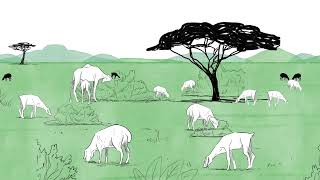 Pastoralism is the Future [upl. by Eeloj]