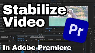 How to Stabilize Video in Adobe Premiere Pro CC  Adobe Tutorial [upl. by Einafets484]