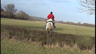 Alice amp Defender take on The Ledbury Hunt Murrells End Meet 9th January 2015 [upl. by Lindblad876]