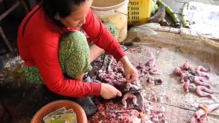 Cambodia  Siem Reap  Market With Food Frogs [upl. by Llenrev]