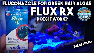 Flux Rx from Blue Life USA Fluconazole for Green Hair Algae amp Bryopsis Does it work The Results [upl. by Roberts773]