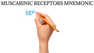 MUSCARINIC RECEPTORS MNEMONIC  How to remember muscarinic receptors [upl. by Adiahs]