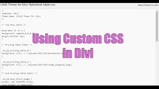 Using Custom CSS in Divi [upl. by Apilef]