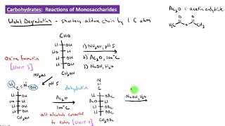 CHEM 2325 Module 37 Wohl Degradation [upl. by Edaw]