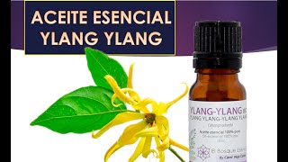 ACEITE ESENCIAL YLANG YLANG BENEFICIOS E INCONVENIENTES [upl. by Walsh]