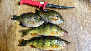 Lake Winnebago Perch Fishing 91524 [upl. by Sakmar]