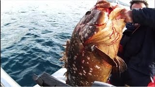 JIGGING7 grouper ΡΟΦΟΣ ΕΝΑ ΨΑΡΙ ΠΟΛΥ ΜΕΓΑΛΟ sotos fishingwmv [upl. by Nuj]