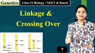 Linkage and Crossing Over Class 12 Biology  Genetics  English [upl. by Thanasi]