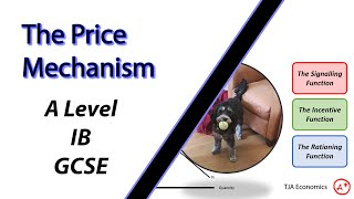 The Functions of The Price Mechanism  A Level IB and GCSE Economics [upl. by Haidabo]