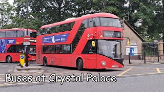 Buses at Crystal Palace  280524 [upl. by Giusto194]