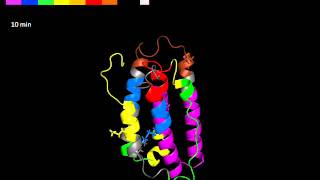 Protein movement and dynamics by Hydrogen Deuterium Exchange Mass Spectrometry HDX MS [upl. by Asen818]