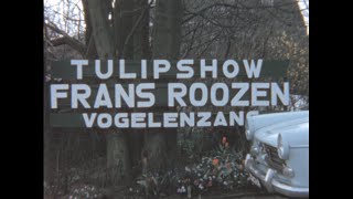 Vogelenzang 1963 archive footage [upl. by Joyan]